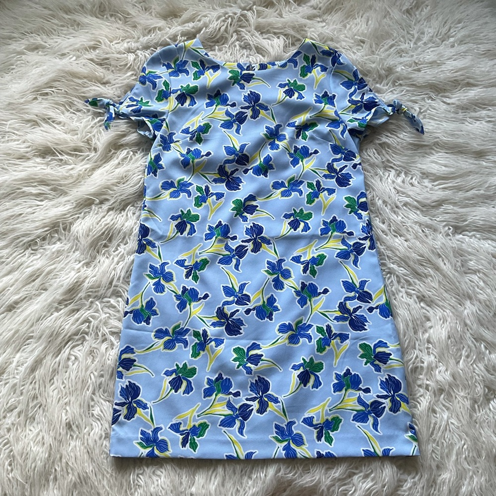 Banana Republic Blue Floral Tie-Sleeve Mini Dress